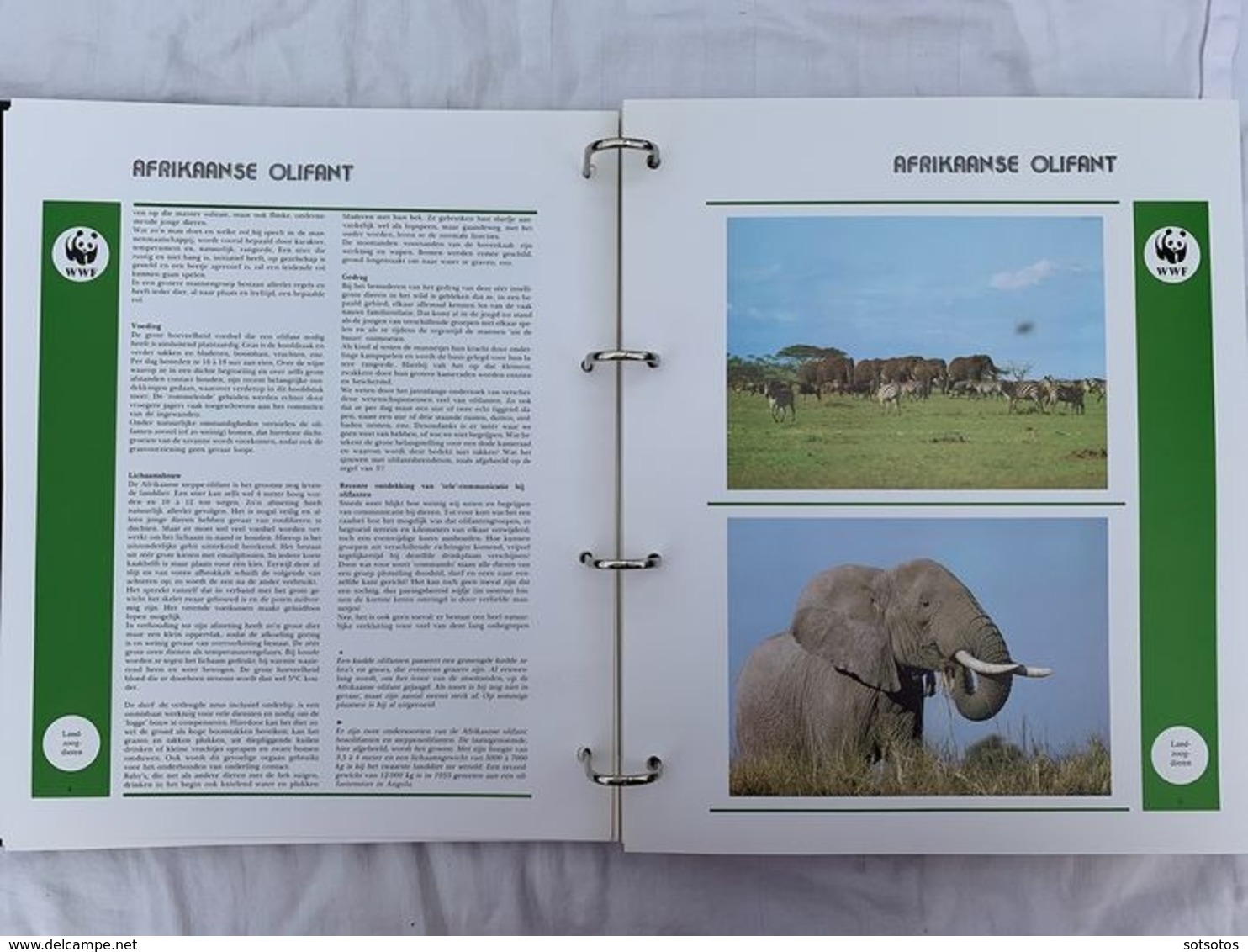 WWF 2 Luxury albums and slipcases with series and FDCs of Endangered Species MNH (Mint never hinged)