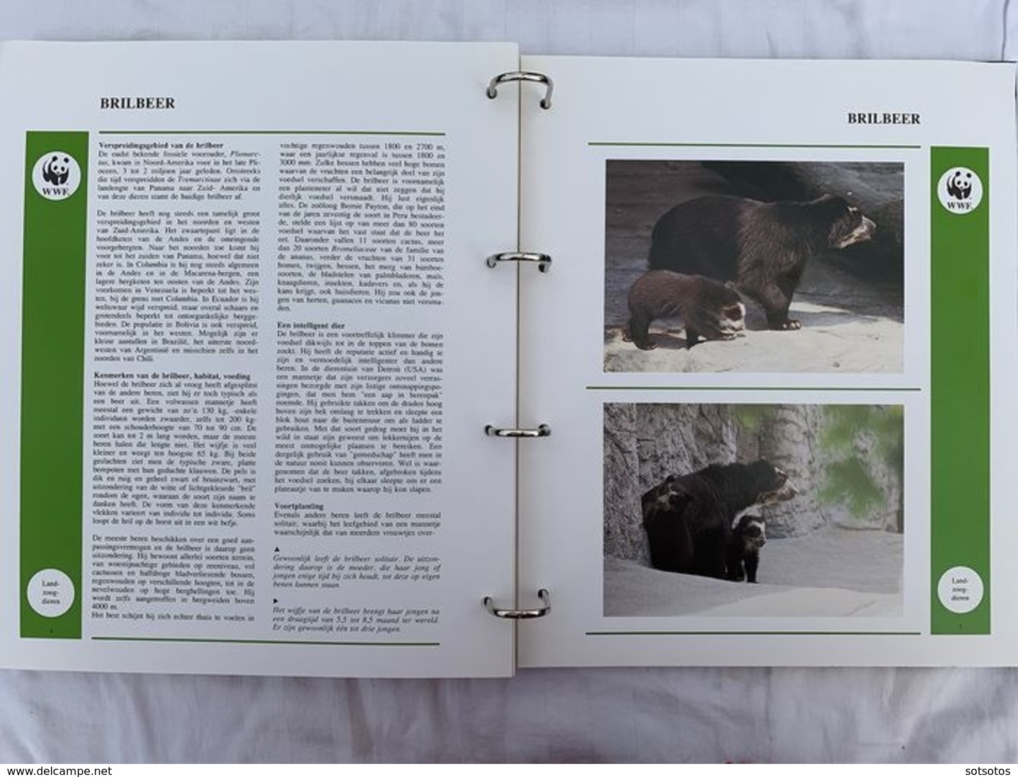 WWF 2 Luxury albums and slipcases with series and FDCs of Endangered Species MNH (Mint never hinged)