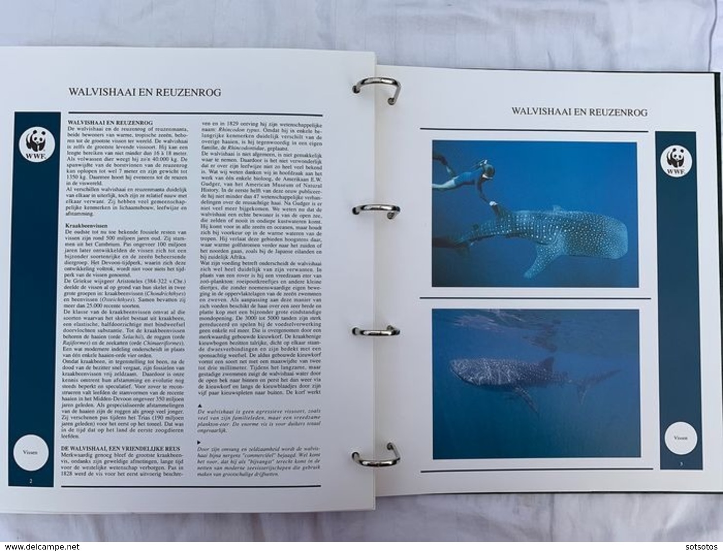 WWF 2 Luxury albums and slipcases with series and FDCs of Endangered Species MNH (Mint never hinged)