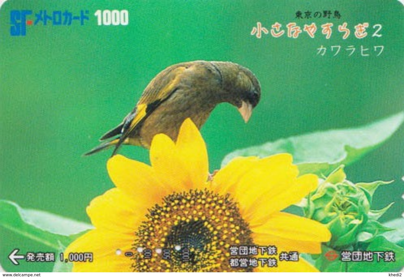 Carte Japon - Animal - Série OISEAUX 2/5 - OISEAU - VERDIER DE CHINE Sur Tournesol - SONG BIRD Japan Metro Card - 4499 - Songbirds & Tree Dwellers