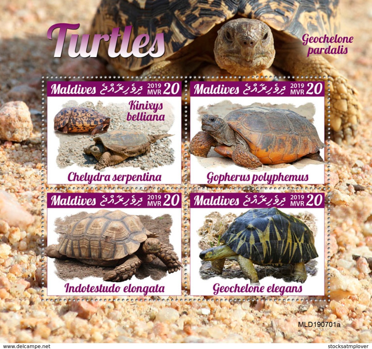 Maldives 2019  Fauna Turtles  S201910 - Maldives (1965-...)