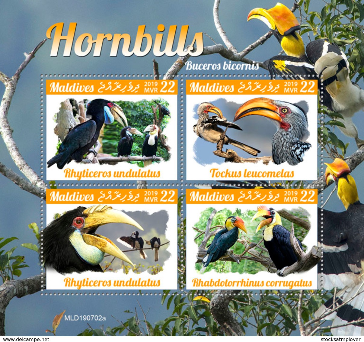 Maldives 2019  Fauna  Hornbills S201910 - Maldives (1965-...)