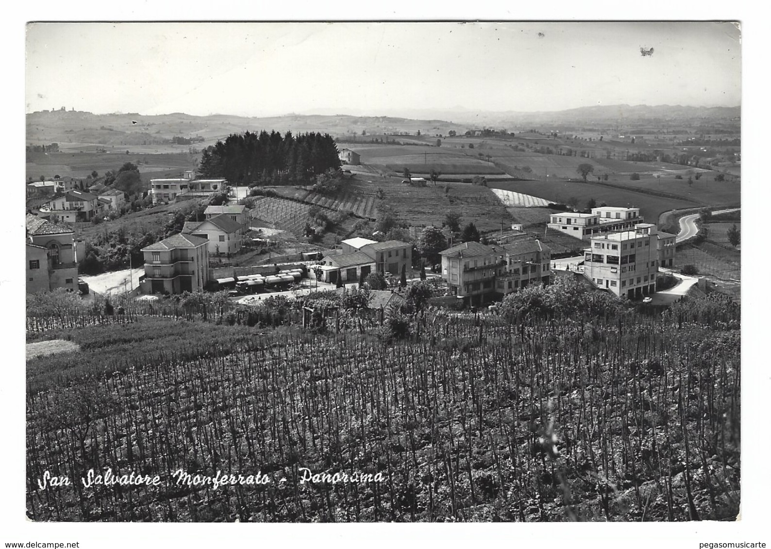 1223 - SAN SALVATORE MONFERRATO PANORAMA ALESSANDRIA 1952 - Alessandria