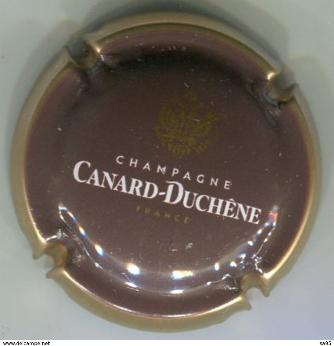 CAPSULE-CHAMPAGNE CANARD-DUCHENE N°77h Marron, Contour Or - Canard Duchêne