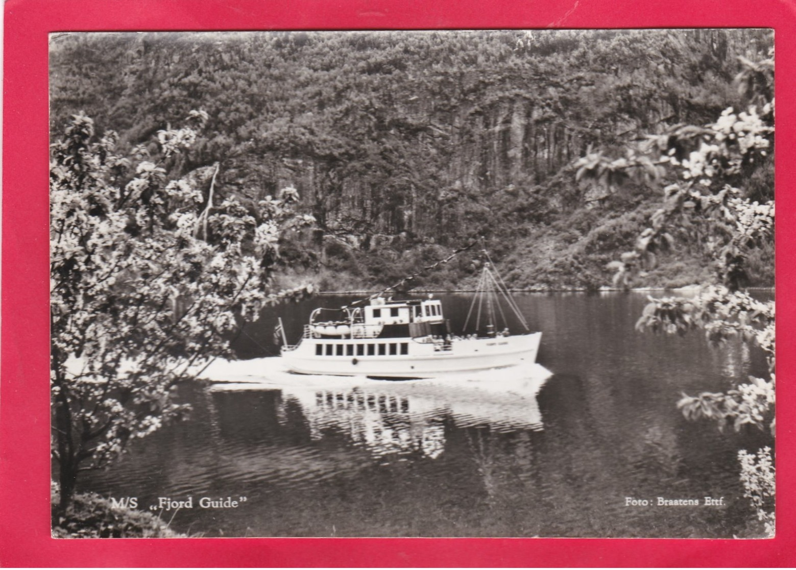 Modern Post Card Of M/S Fjord Guide,A25. - Traghetti