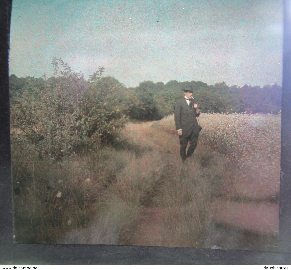 AUTOCHROME Stéréoscopique, 1910 : Dans Les Vosges, Environs De Saint Dié. Plaque De Verre, Positif - Glasdias