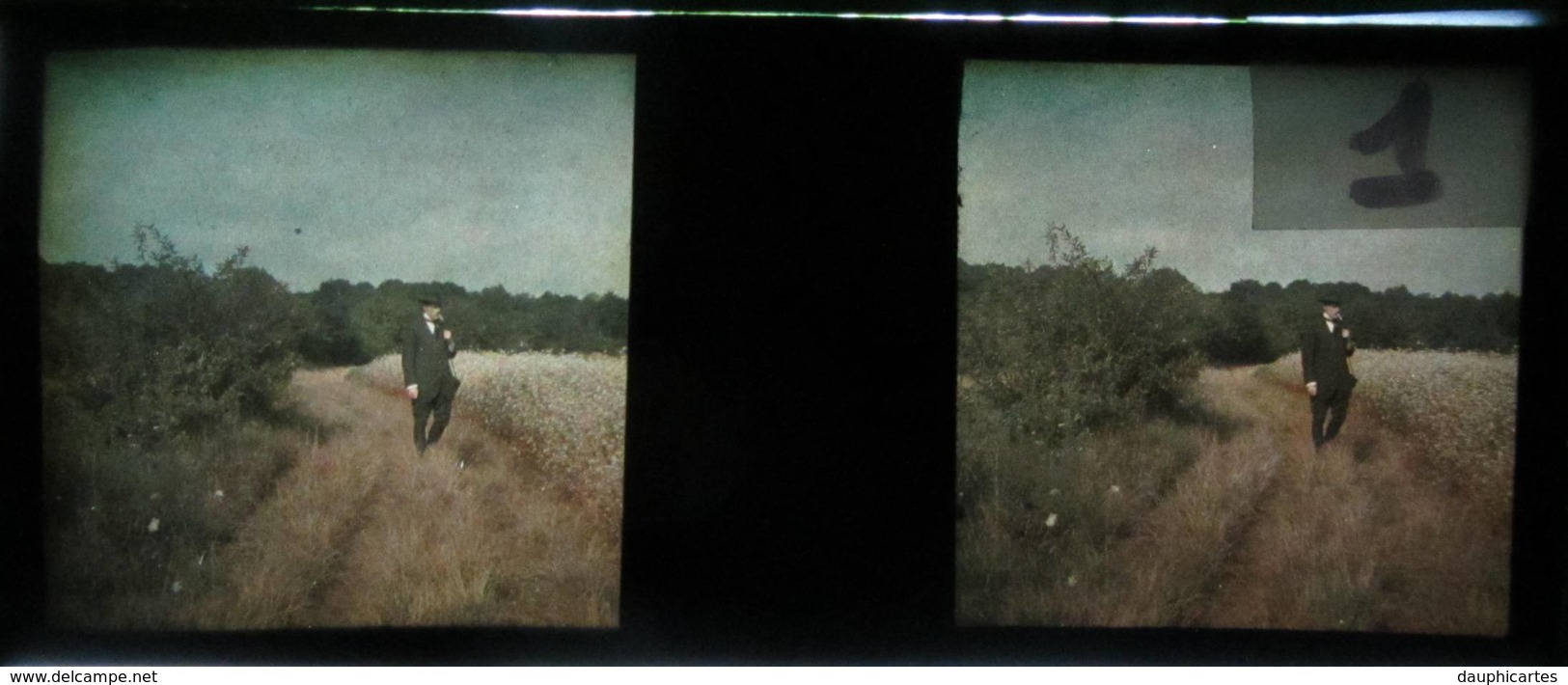 AUTOCHROME Stéréoscopique, 1910 : Dans Les Vosges, Environs De Saint Dié. Plaque De Verre, Positif - Glasplaten