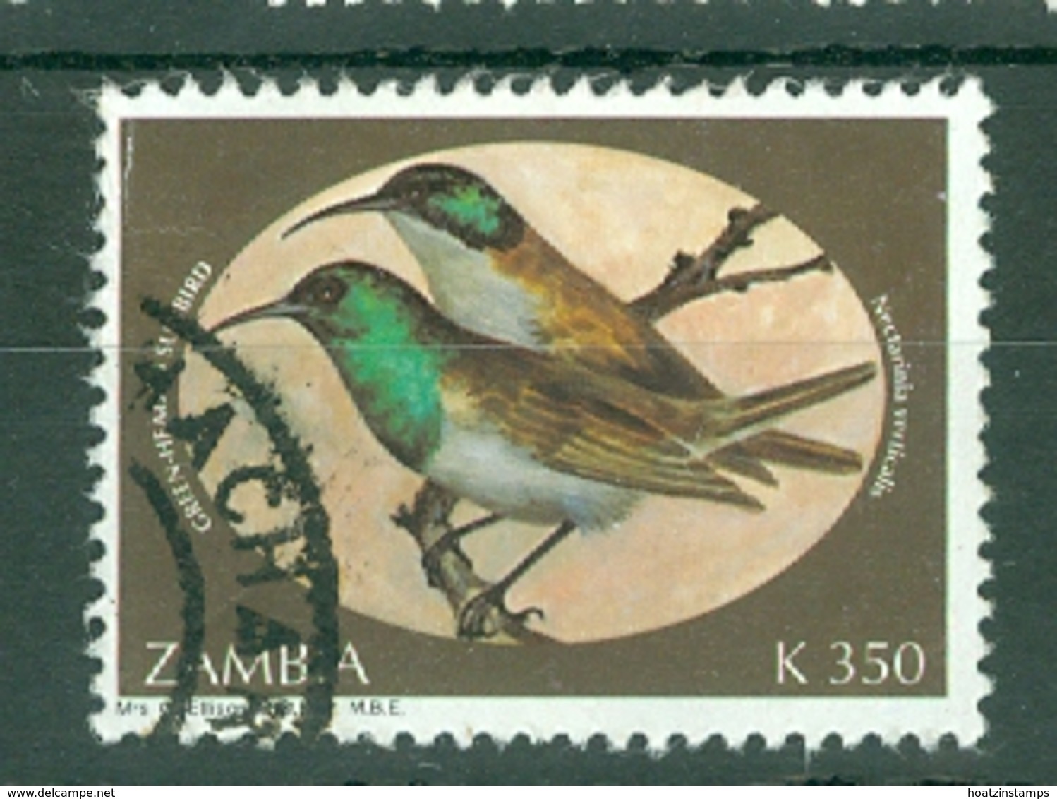 Zambia: 1994   Sunbirds    SG730   K350     Used - Zambia (1965-...)