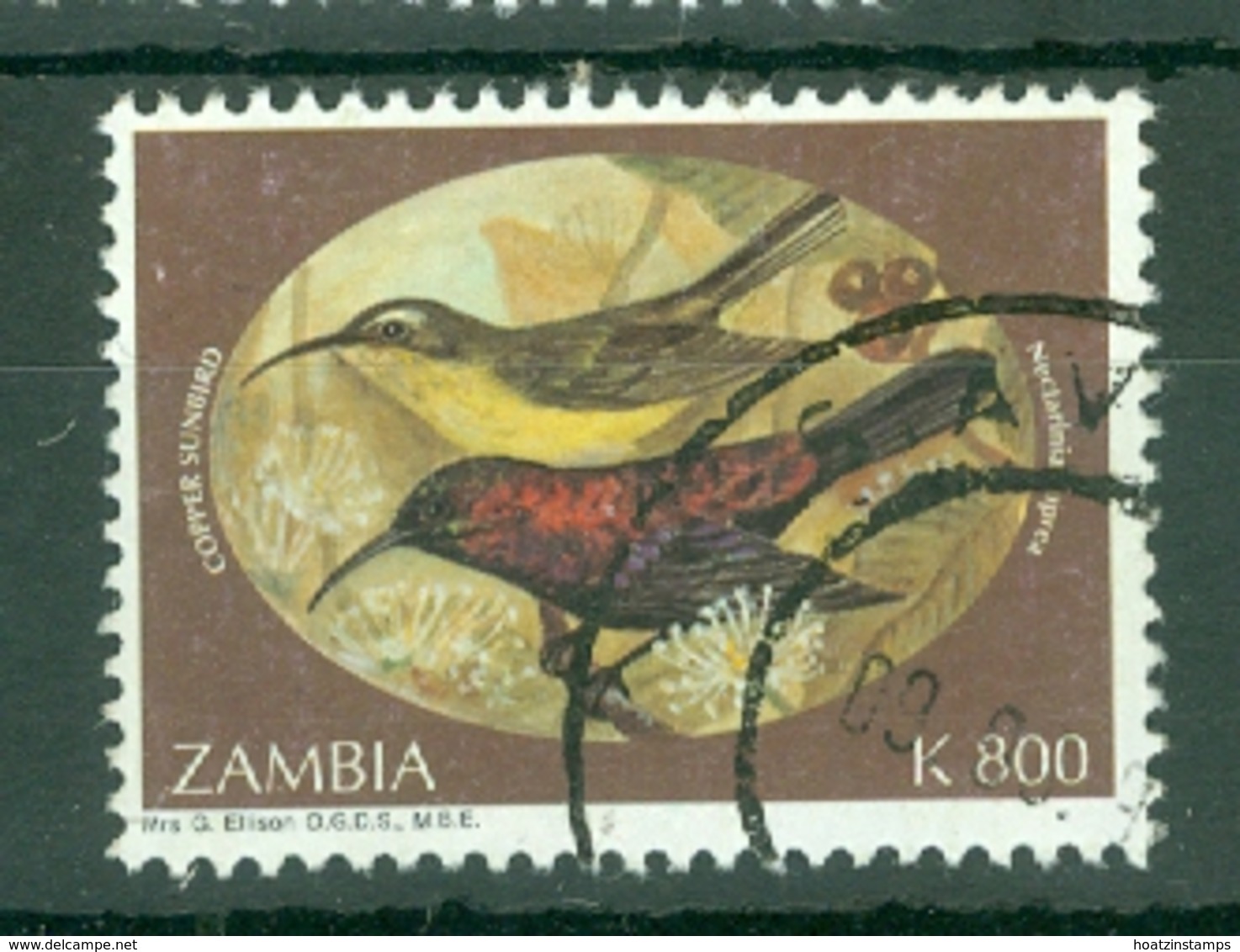 Zambia: 1994   Sunbirds    SG733   K800     Used - Zambia (1965-...)