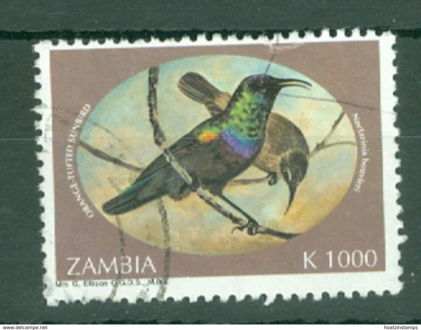 Zambia: 1994   Sunbirds    SG734   K1000     Used - Zambia (1965-...)