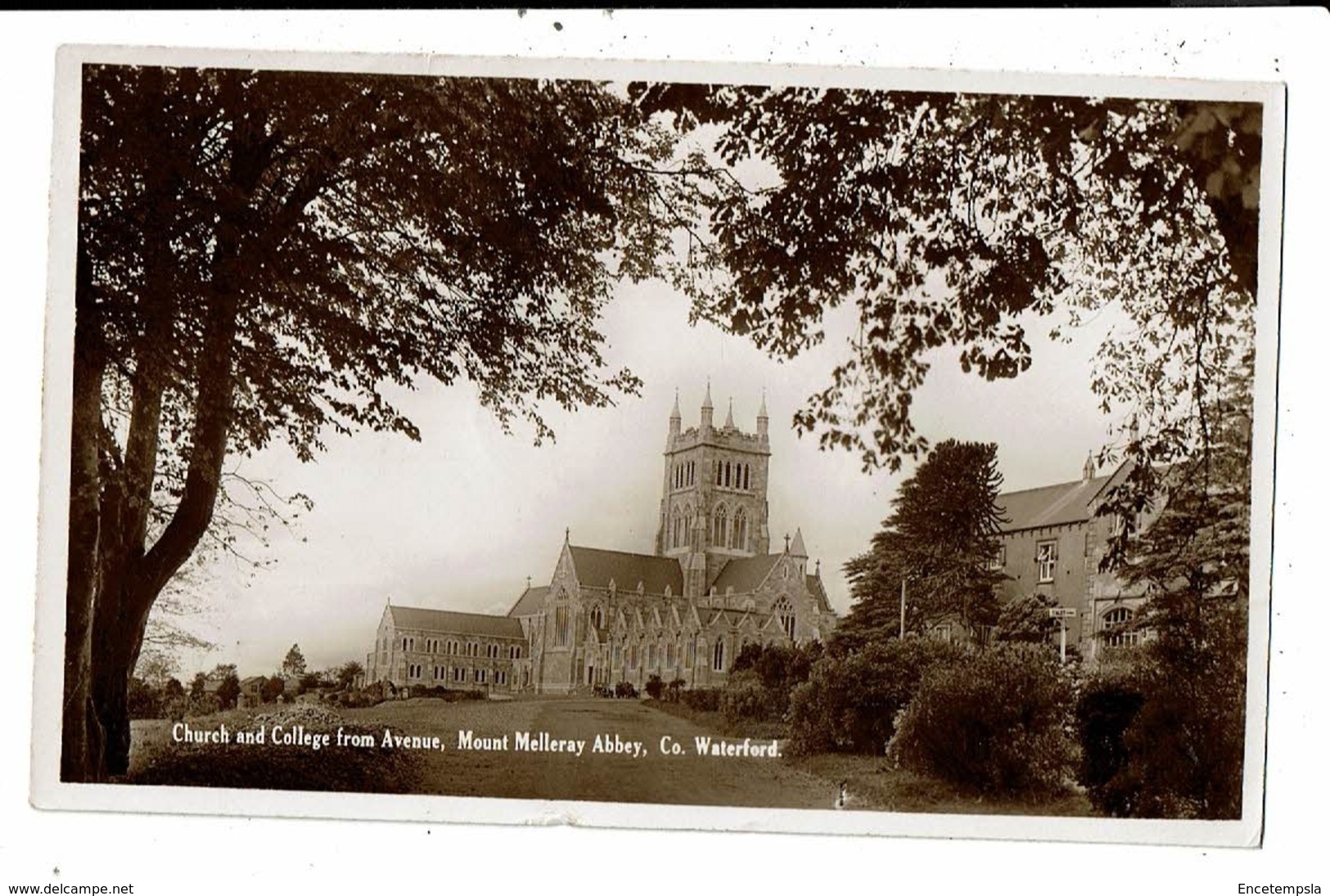 CPA-Carte Postale-Irlande Mount Melleray Abbey- Church And College From Avenue-1951-VM9173 - Waterford