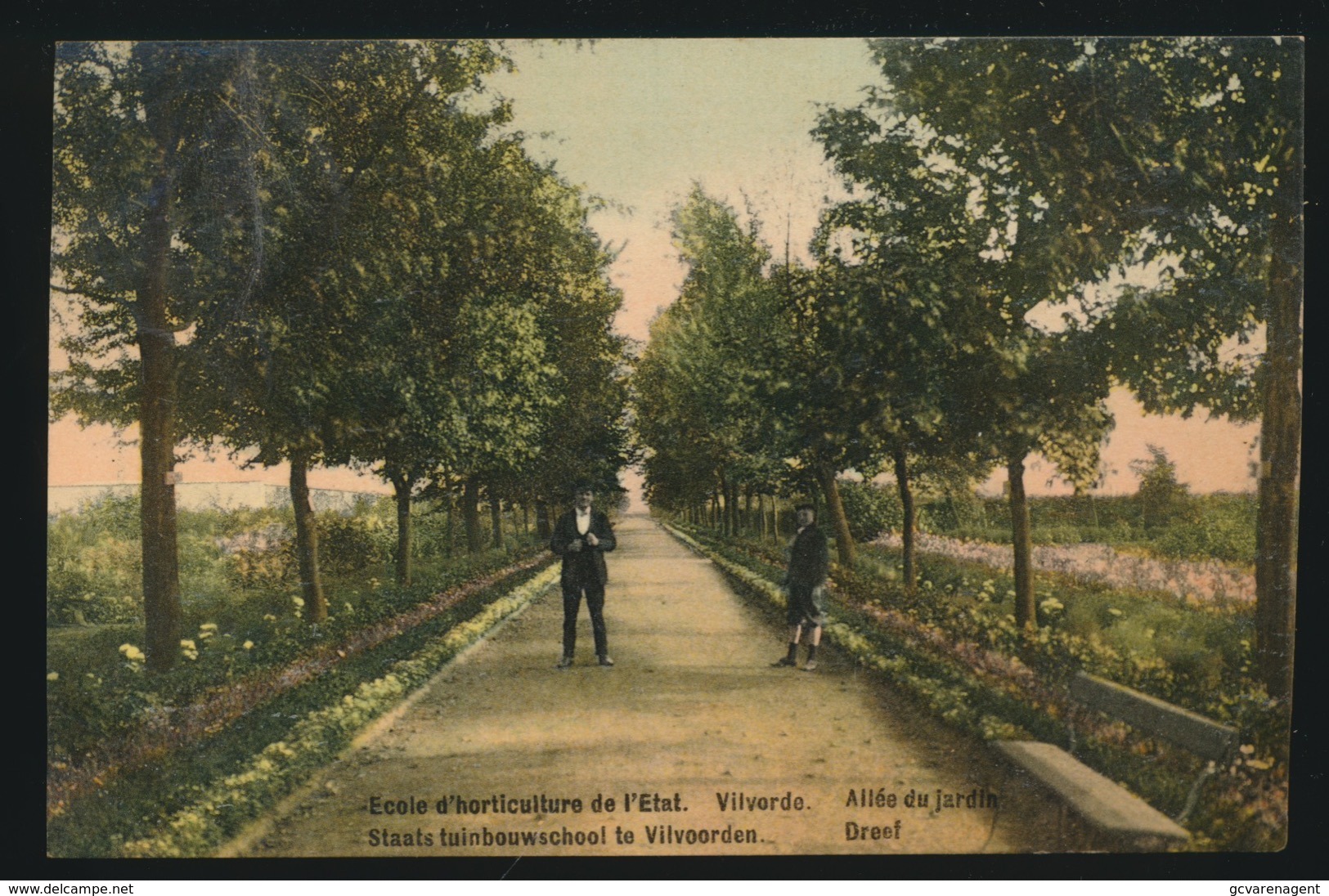 VILVOORDE  ECOLE D'HORTICULTURE DE L'ETAT  ALLEE DU JARDIN - Vilvoorde