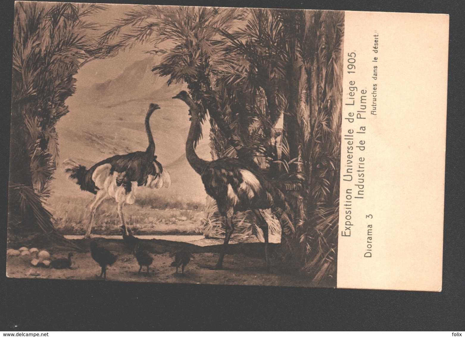 Liège - Exposition Universelle De Liège 1905 - Industrie De La Plume - Diorama 3 - Autruches Dans Le Désert - Liege