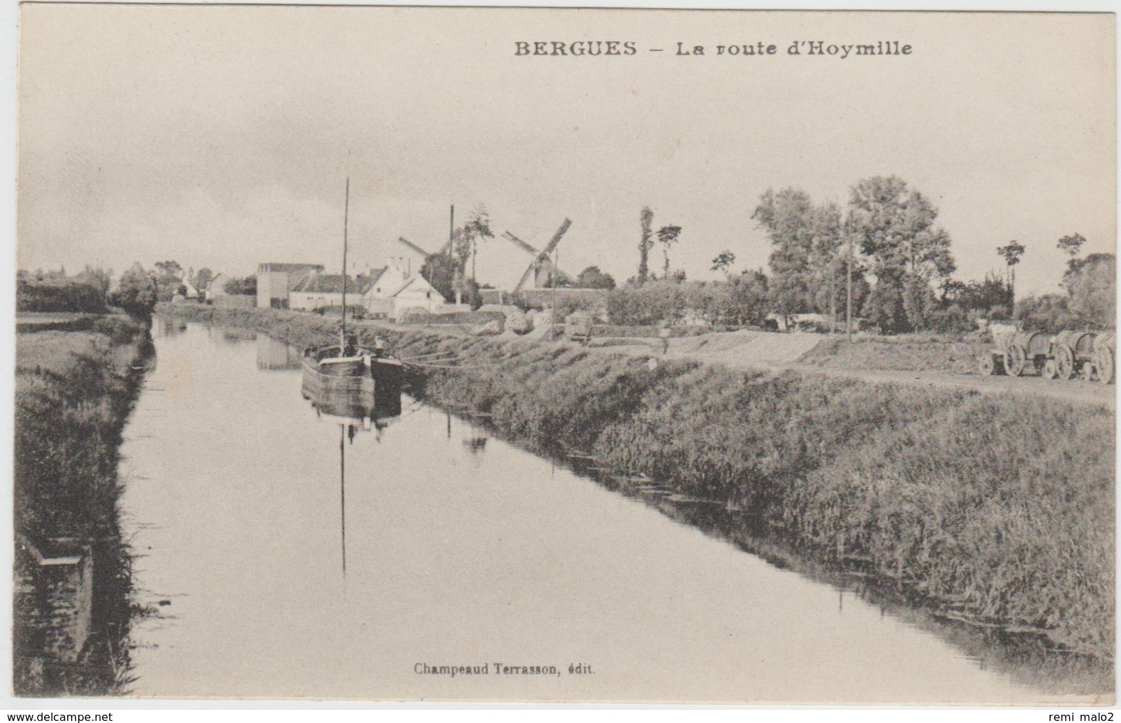 CARTE POSTALE    BERGUES 59  La Route D'Hoymille - Bergues