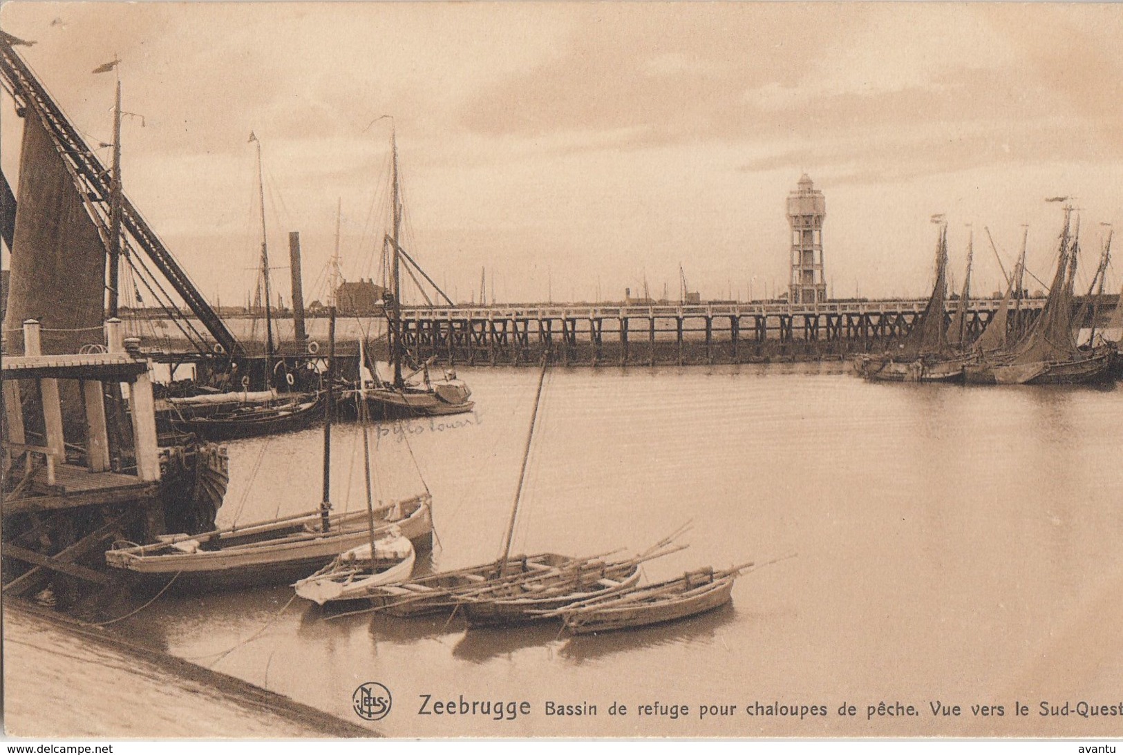 ZEEBRUGGE / VLUCHTDOK / BASSIN DE REFUGE / VISSERSBOTEN - Zeebrugge