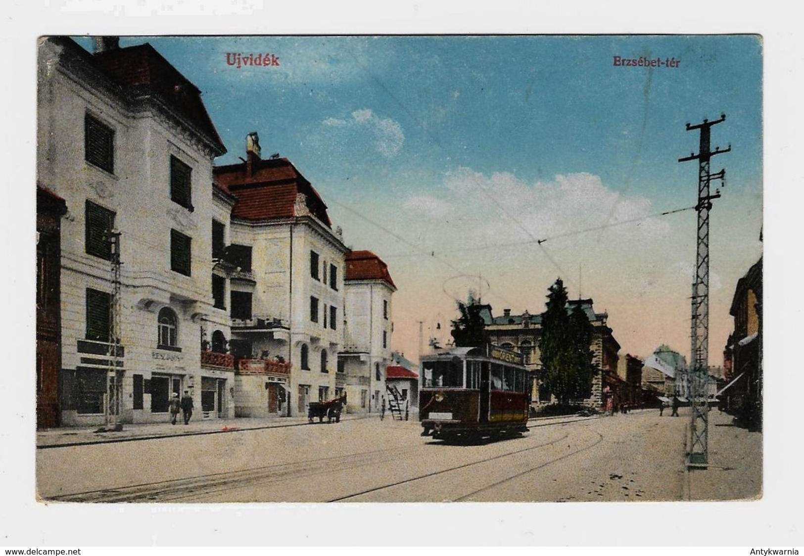 Újvidék Нови Сад Novi Sad Újvidék Nový Sad Erzsebet Ter Tramway  Strassenbahn  1916y.  D186 - Servië