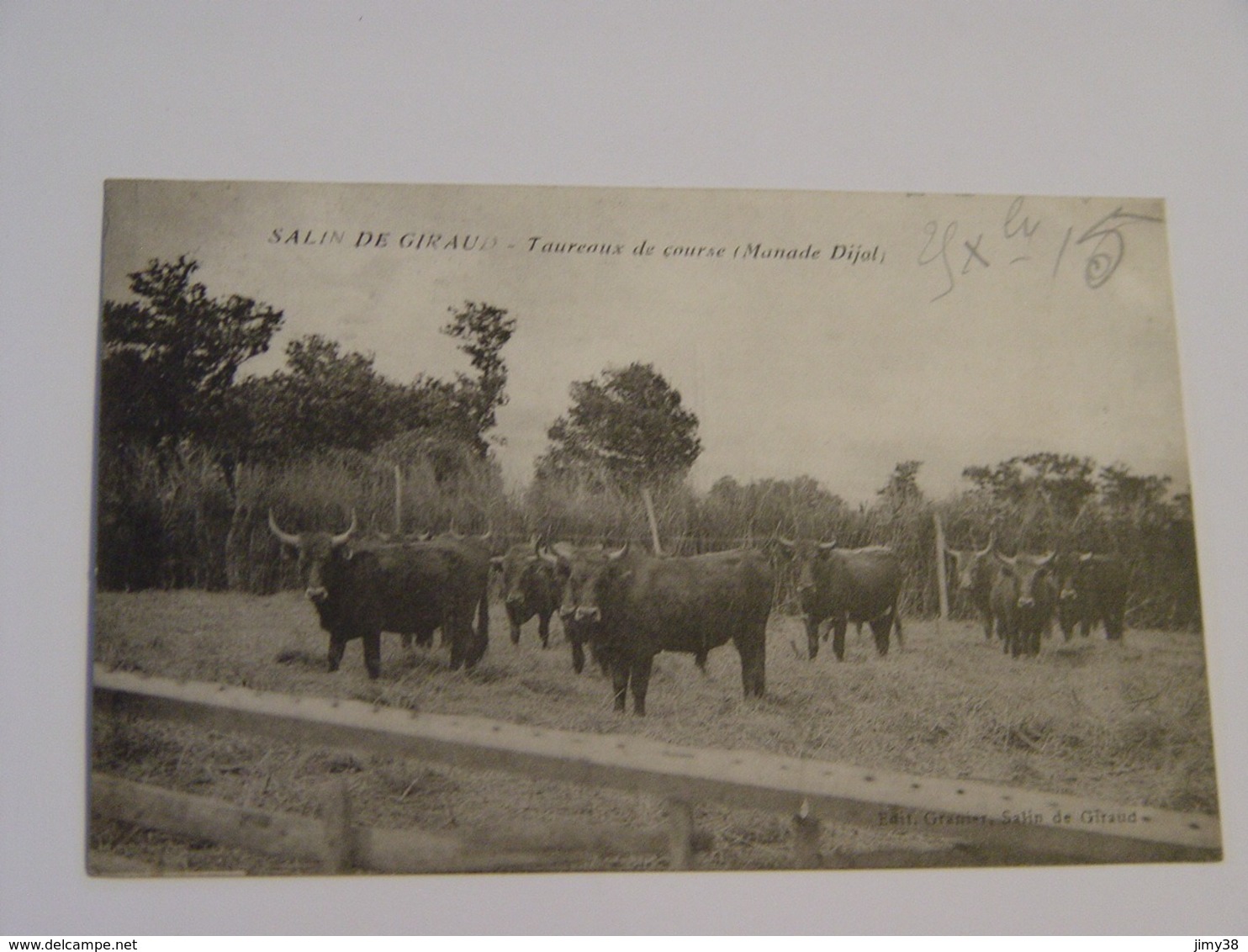 BOUCHES DU RHONE-SALIN DE GIRAUD-TAUREAUX DE COURSE MANDE DIJOL ED GRANIER - Other & Unclassified