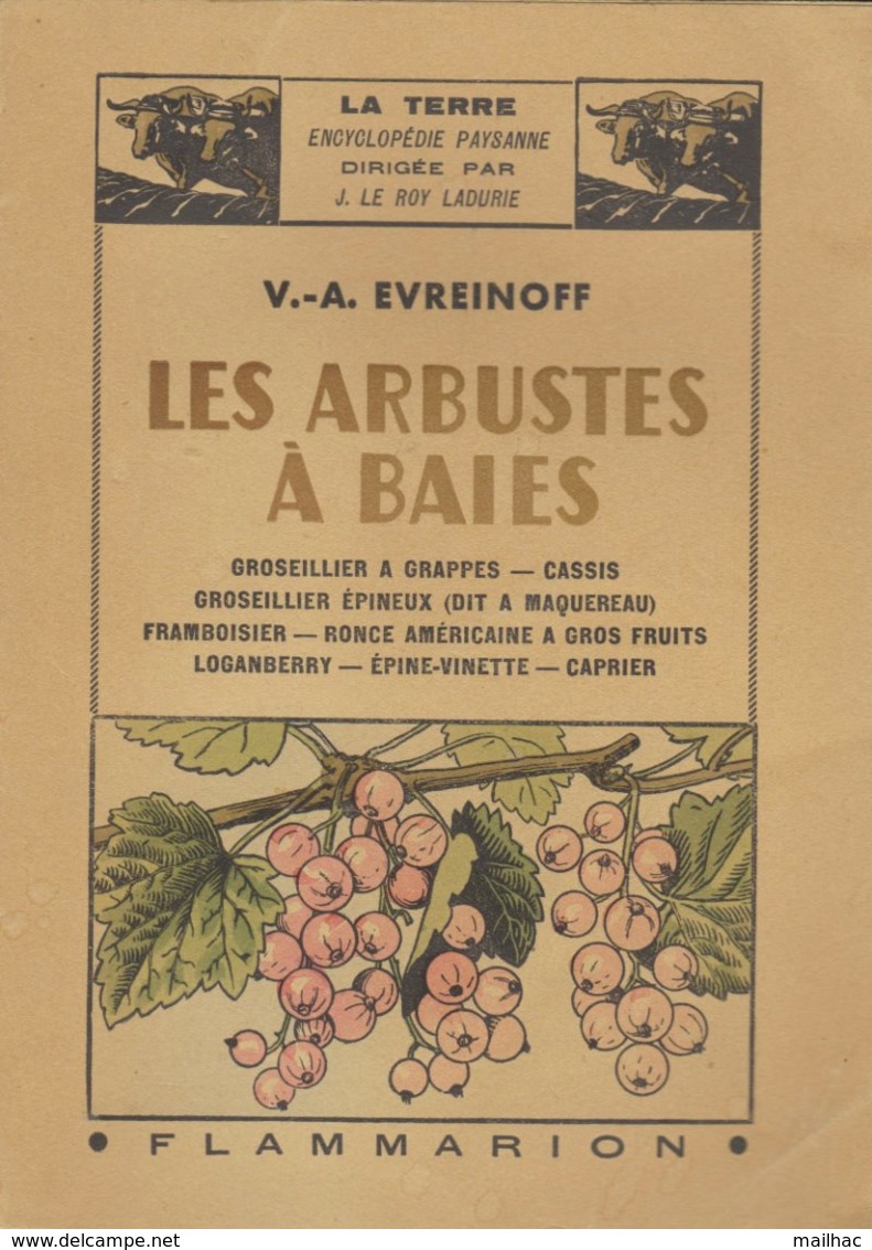 LA TERRE - Encyclopédie Paysanne - Les Arbustes à Baies De V.A. Evreinoff - 1944 - Ed. Flammarion - Encyclopédies