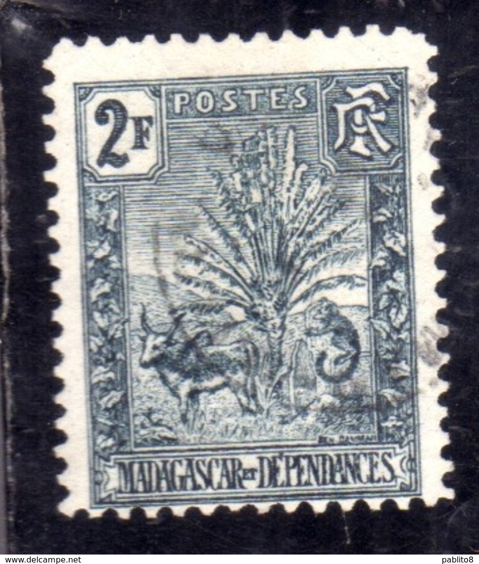 MADAGASCAR MALGACHE 1903 ZEBU, TRAVELER'S TREE AND LEMUR 2f USATO USED OBLITERE' - Madagascar (1960-...)