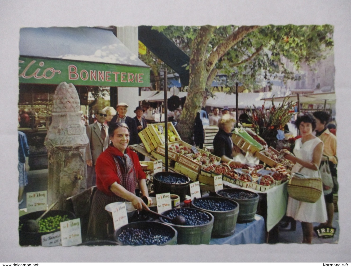 CPA CPSM CP VAR 83 TOULON 1973 - SON PITTORESQUE MARCHÉ / LES OLIVES / REFLETS DE LA CÔTE D'AZUR - ED IRIS TBE - Toulon