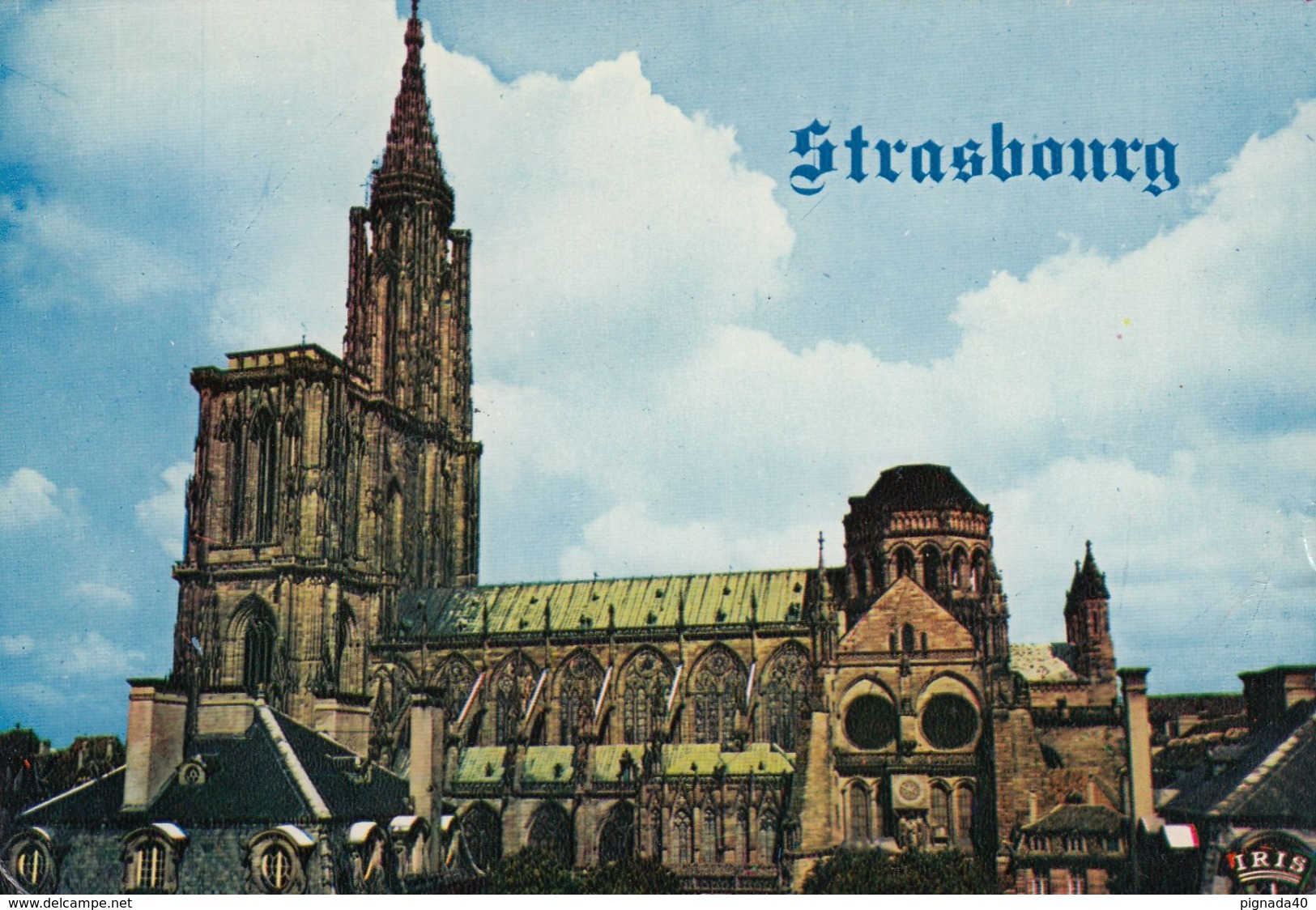 Cp , 67 , STRASBOURG , La Cathédrale (Côté Sud) - Strasbourg