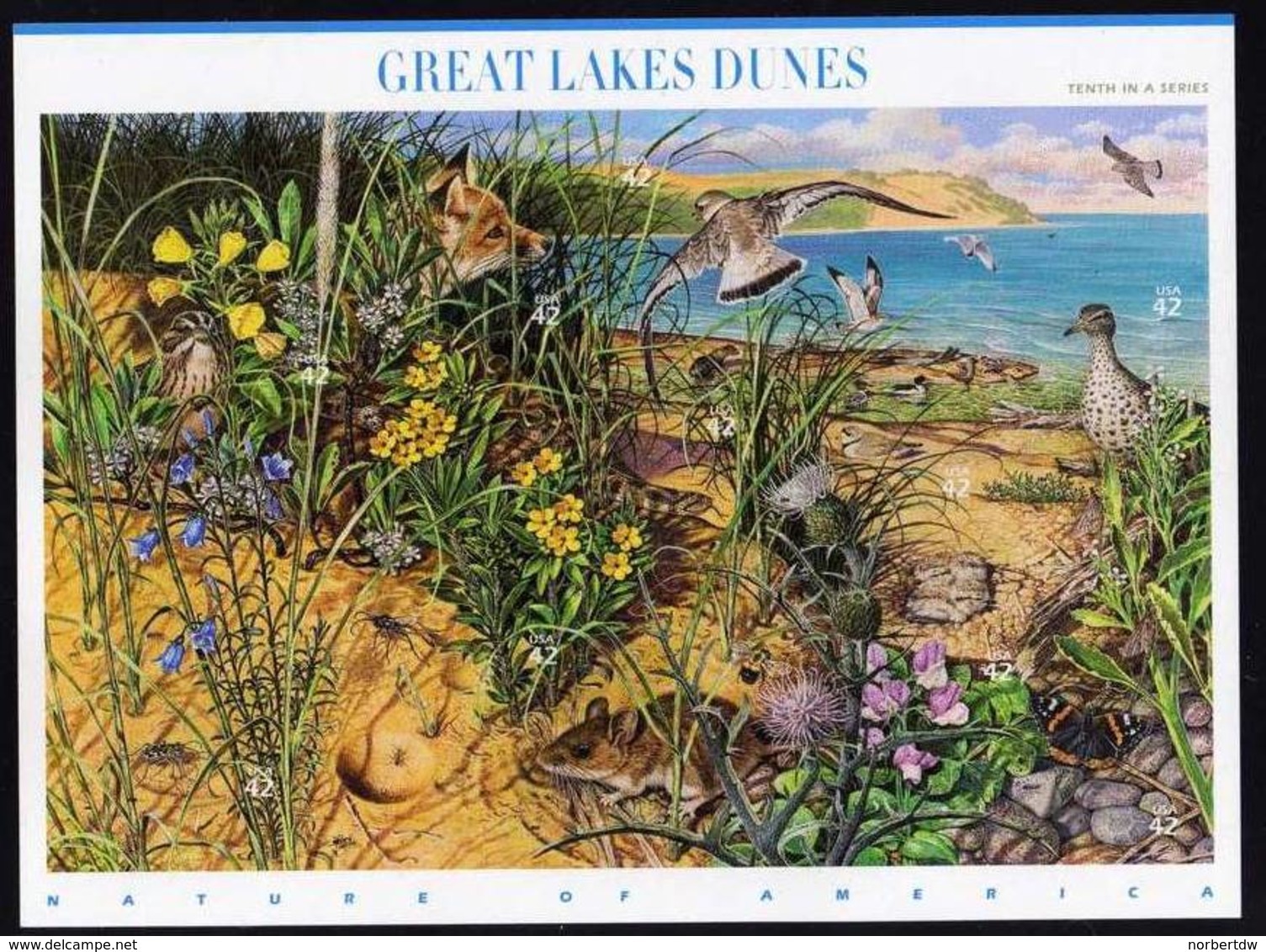 USA**GREAT LAKES DUNES-BLOCK 2007-VOGEL-FUCHS-OTTER-SCHMETTERLING-BLUMEN-TIERE- Dünen Großen Seen - Ungebraucht