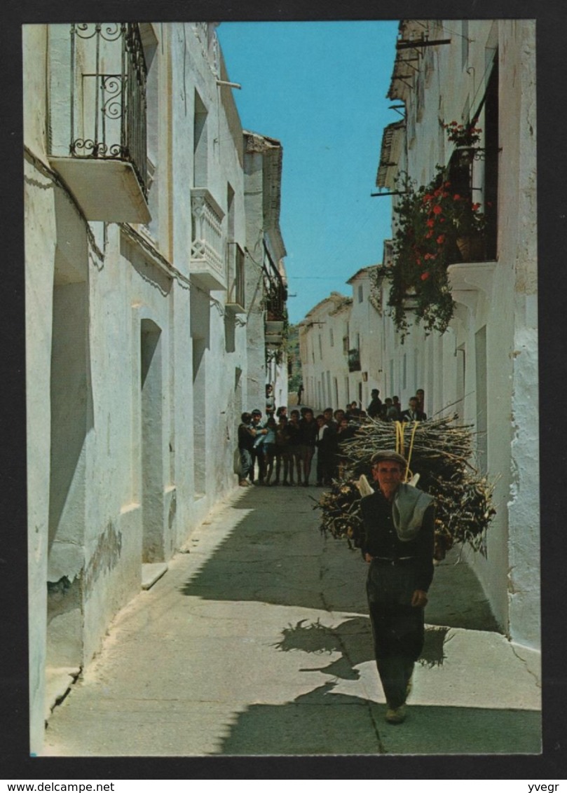 Espagne - ALBANCHEZ ( Almeria ) Rue Général Mola ( Un Homme Avec Un Fagot Sur Le Dos ) - Altri & Non Classificati