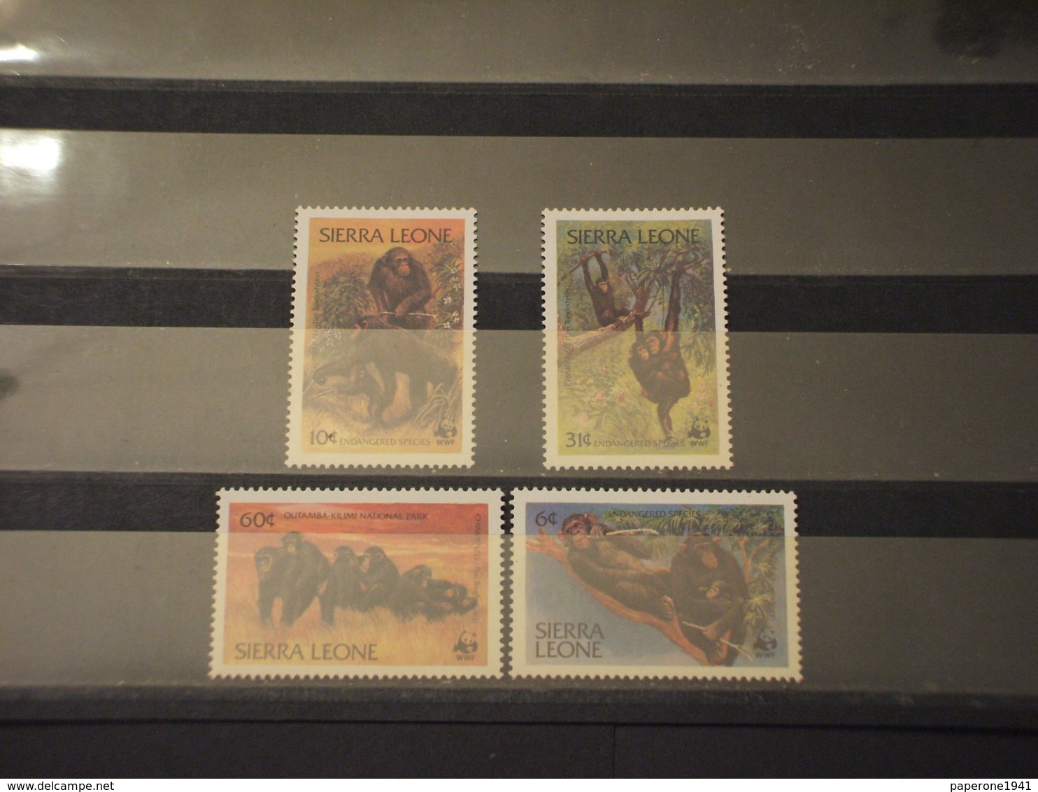 SIERRA LEONE - 1983 WWF SCIMMIE 4 VALORI  - NUOVI(++) - Sierra Leone (1961-...)