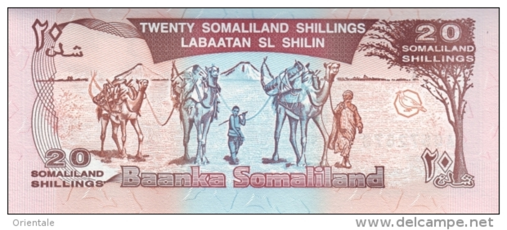 SOMALILAND P.  3a 20 S 1994 UNC - Altri – Africa