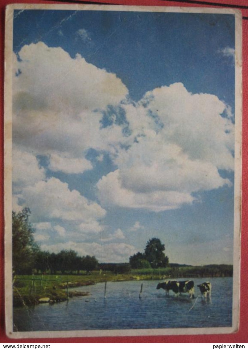 Feldpost: Ansichtskarte Von Nachschub? (OT: Gleiwitz) Nach Kainach Bei Wildon 1940 - Briefe U. Dokumente