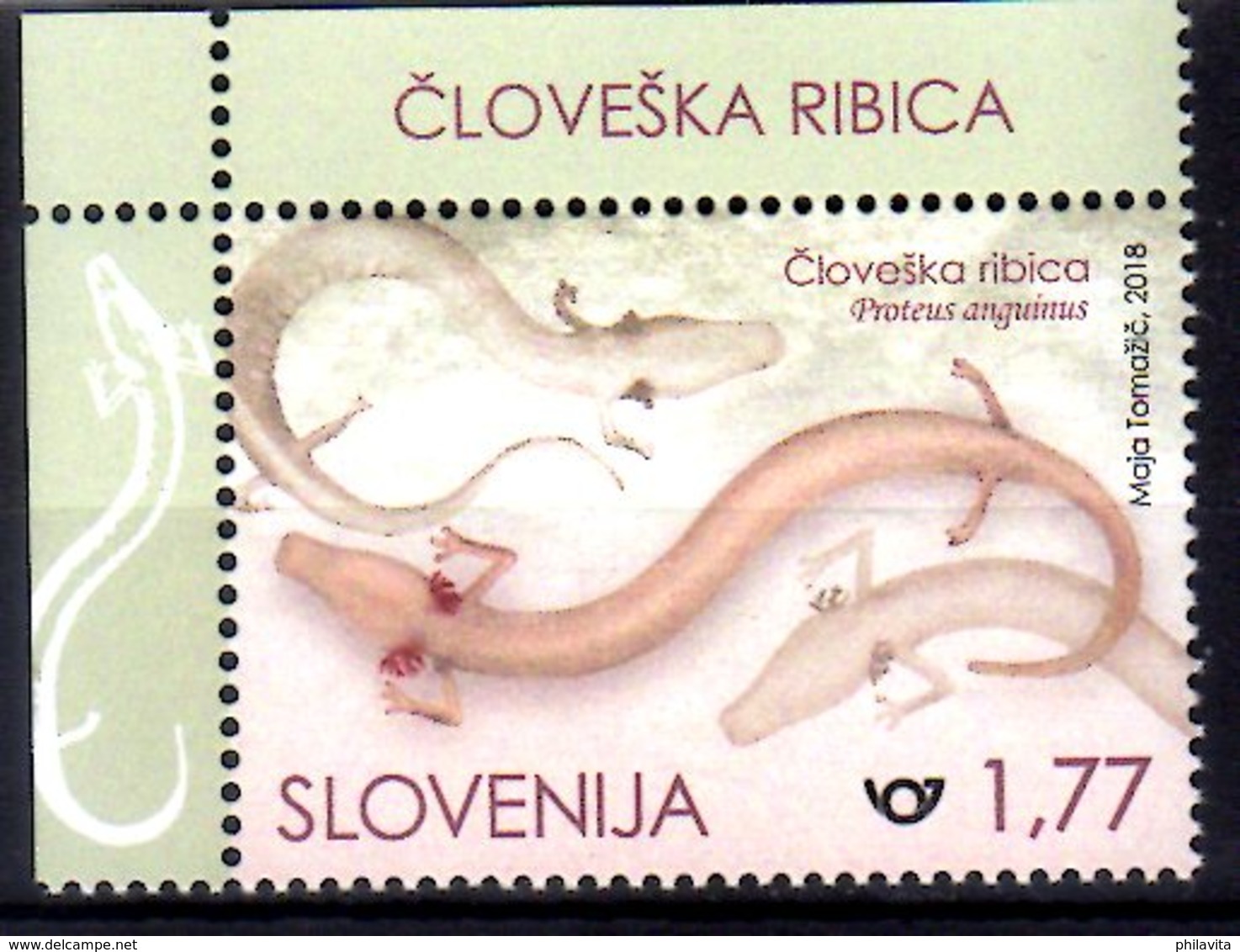 2018 Slovenia -250 Years Of First Ddiscovery Of Proteus Anguinus / Olm Aquatic Salamnder  - MNH** MiNr. 1313 - Slovenia