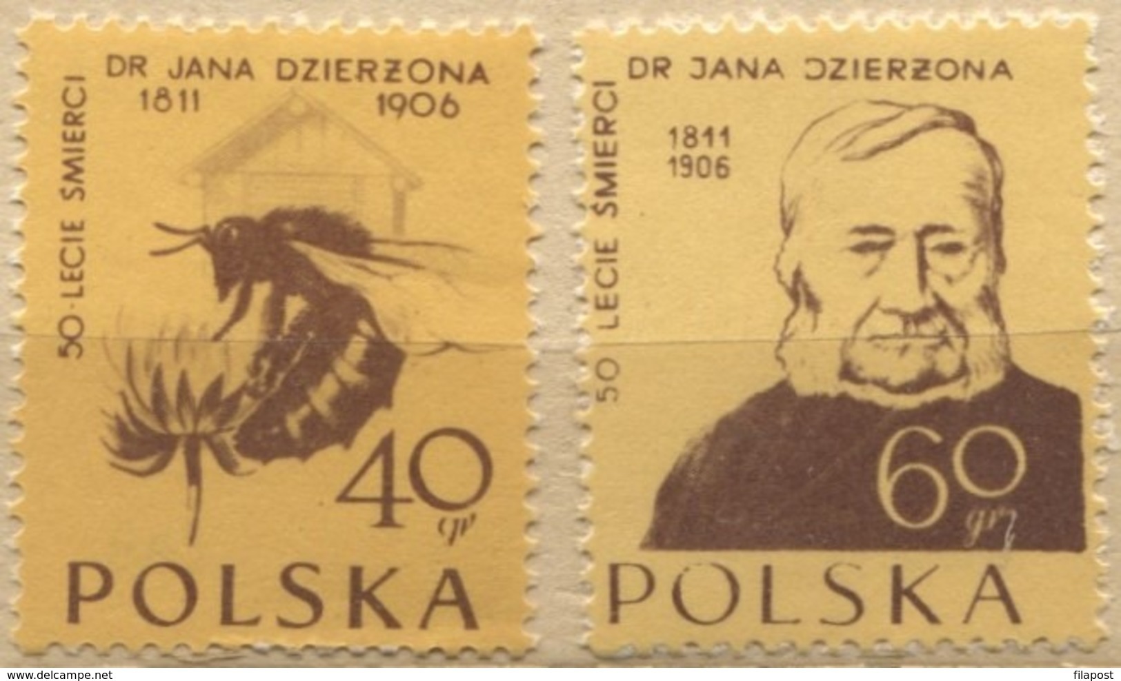 Poland 1956 Doctor Jan Dzierzon - Pioneering Polish Apiarist, Beekeeper, Bees MNH** - Unused Stamps