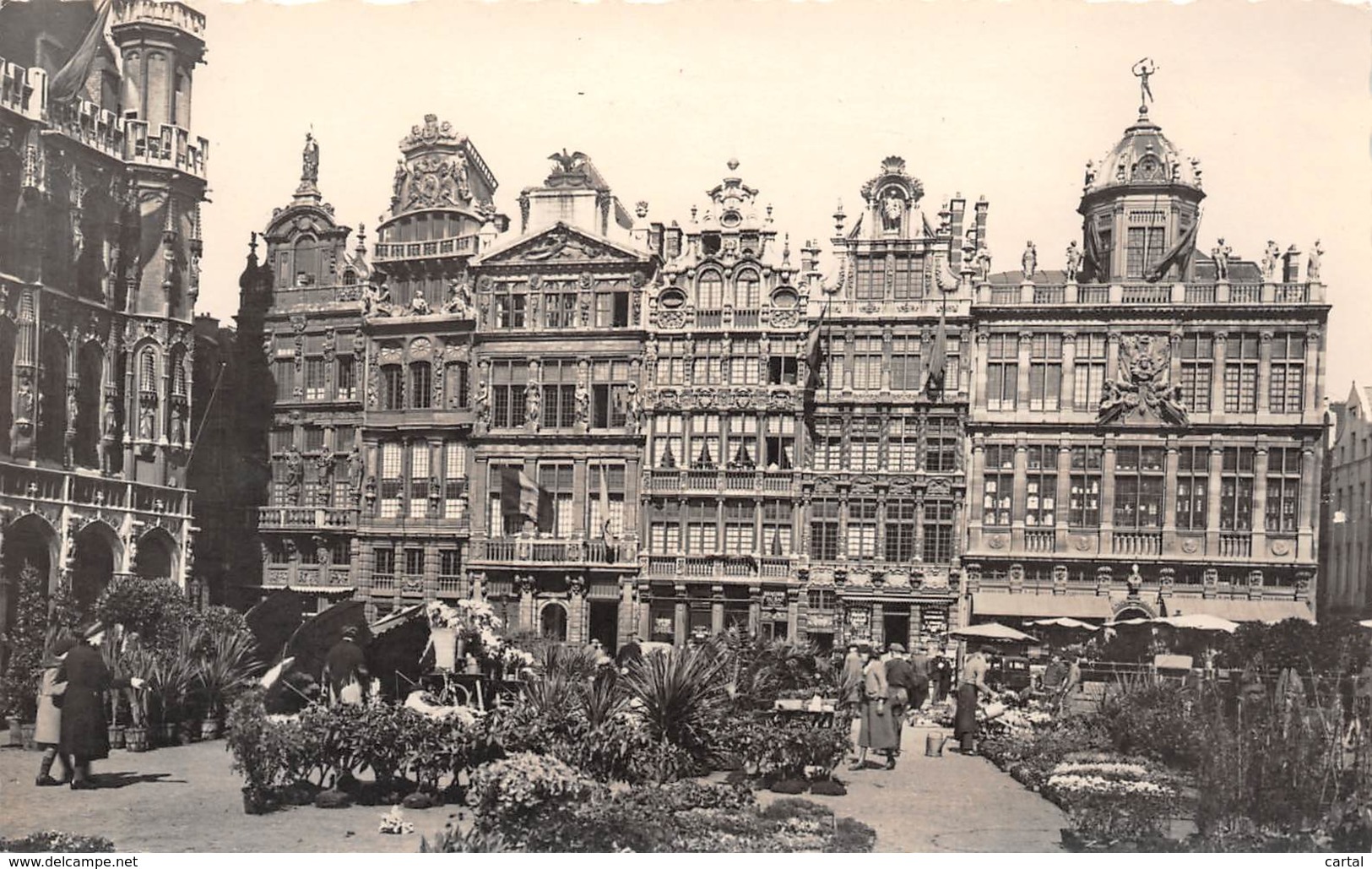 BRUXELLES - Grand'Place - Marché Aux Fleurs - Markets