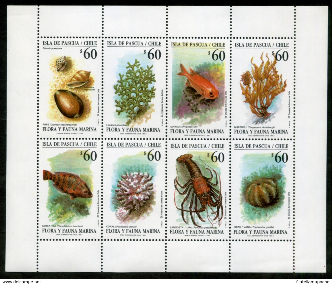 CHILE ESTAMPILLAS: "FLORA Y FAUNA MARINA ISLA DE PASCUA” - 1992. - Chile