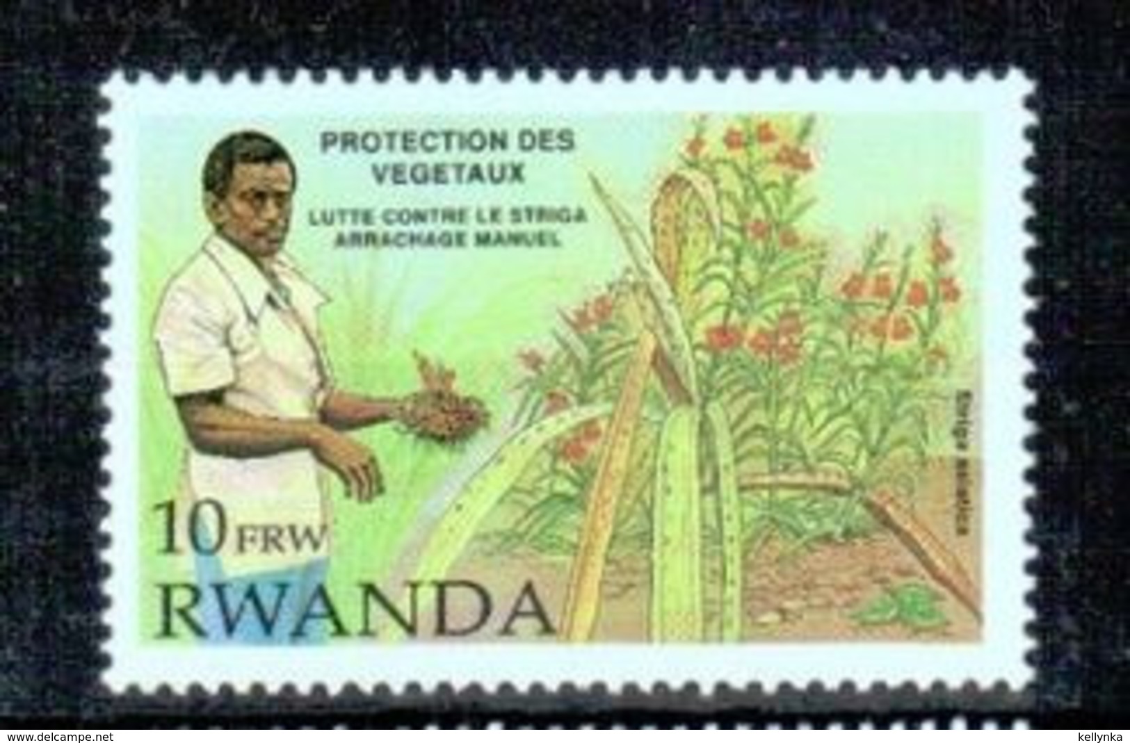 Rwanda - 1399 - Végétaux - 1993 - MNH - Unused Stamps