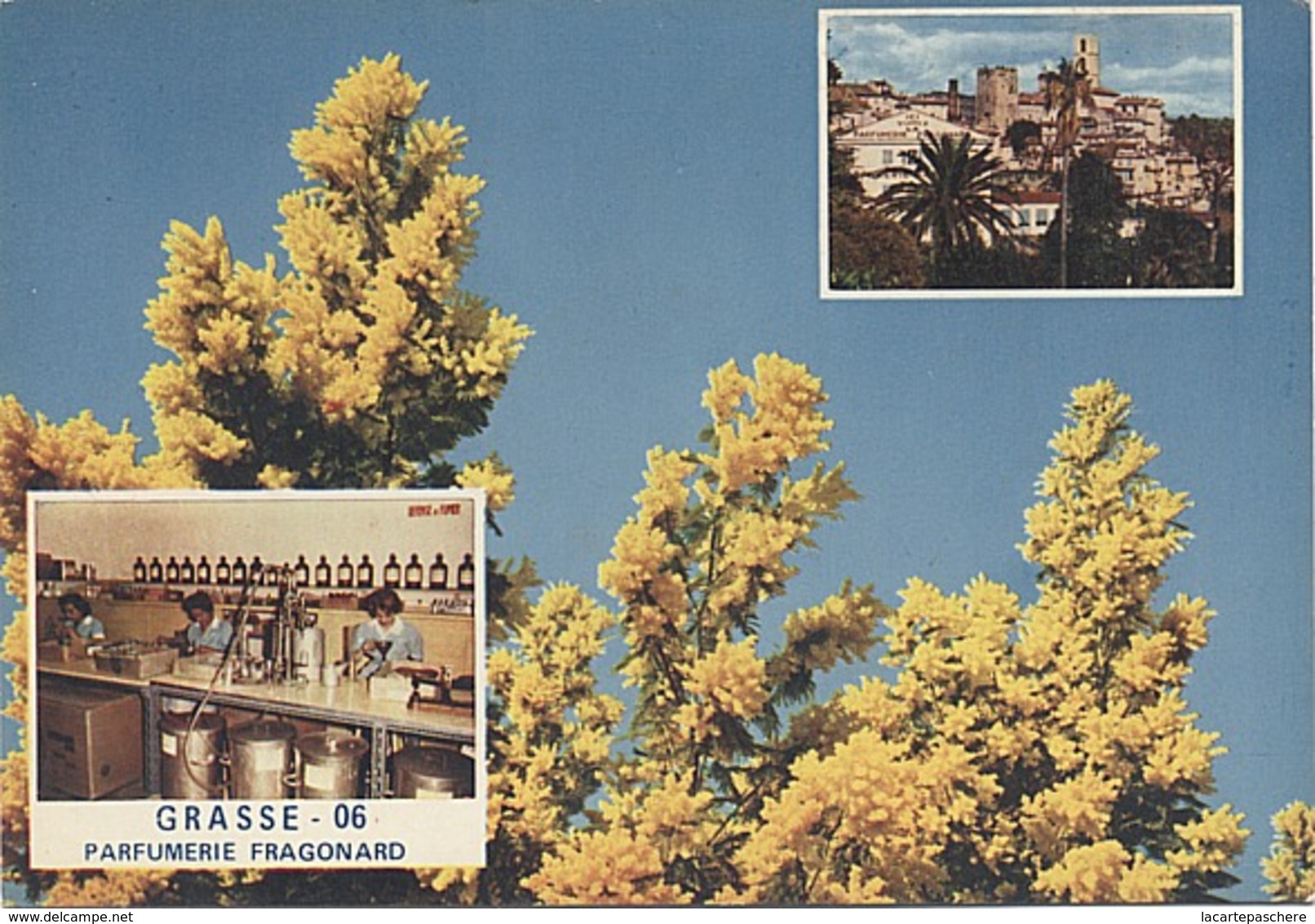 X111809 ALPES MARITIMES CARTE PARFUMEE MULTIVUES GRASSE LE VILLAGE JASMIN LABORATOIRE DE LA PARFUMERIE FRAGONARD - A Systèmes