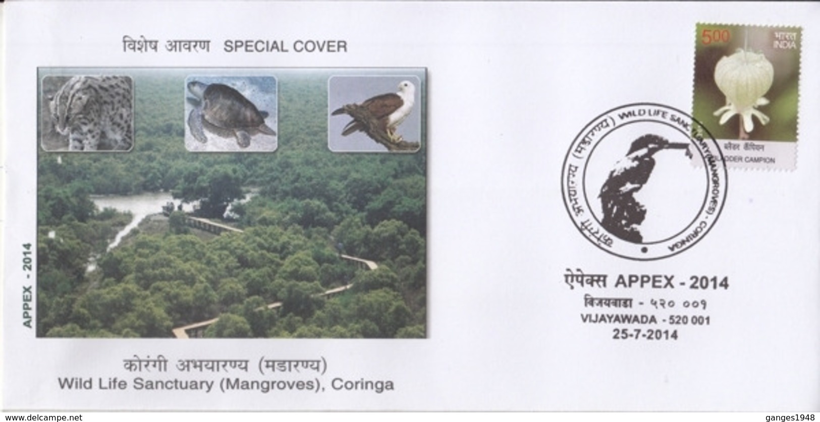India  2014  Turtle  Eagle  Caracal  Big Cat  Coringa Wild Life Sanctuary  Special Cover  #  23982  D  Indien Inde India - Turtles