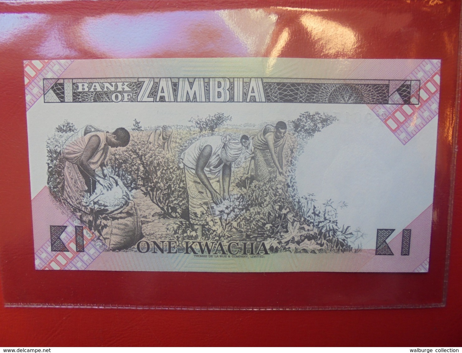 ZAMBIE 1 KWACHA 1980-88 PEU CIRCULER/NEUF (B.9) - Sambia