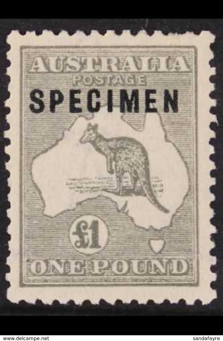 1923-24 £1 Grey Kangaroo, Overprinted "SPECIMEN", Large Part Gum, Shorter Perf At Top.. For More Images, Please Visit Ht - Sonstige & Ohne Zuordnung