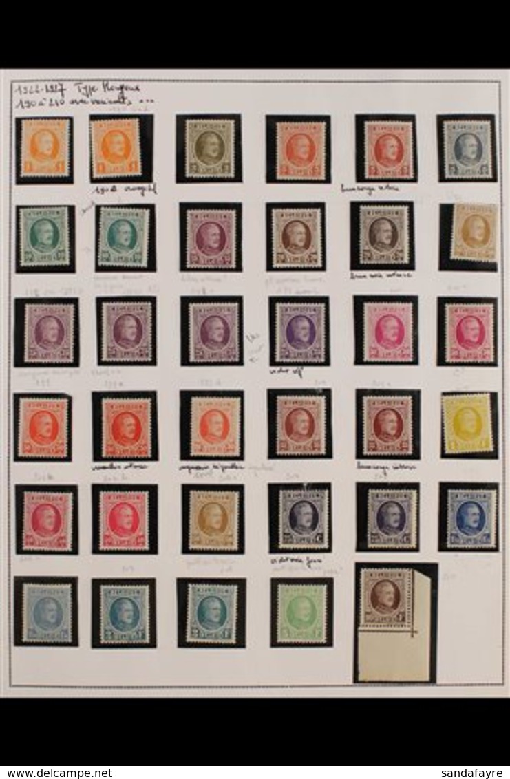 1922 NEVER HINGED MINT King Albert Definitive Collection (Cob 190/210) With Many Additional Listed "intense" Shade Varia - Sonstige & Ohne Zuordnung