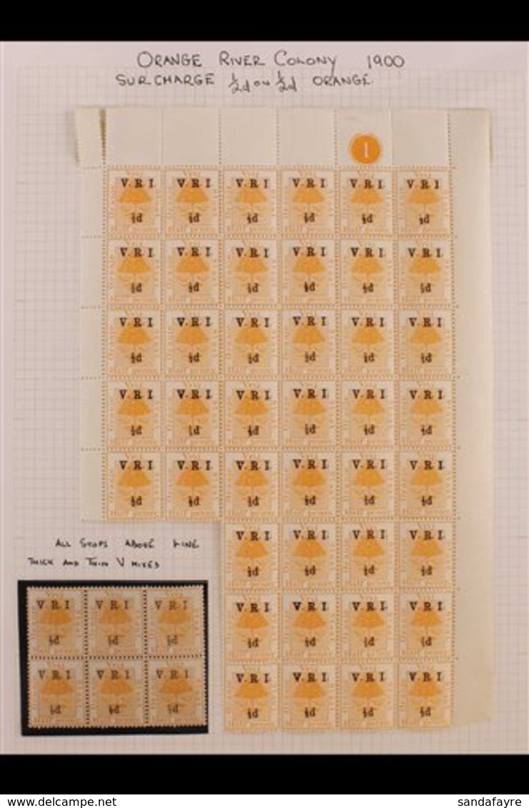 ORANGE RIVER COLONY 1900 V.R.I. Surcharges, Superb Mint Collection With Values To 5s On 5s With A Wealth Of Multiples, B - Ohne Zuordnung