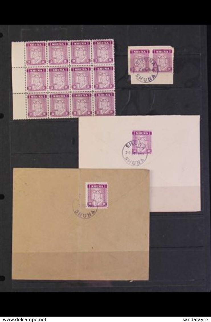 SHUNA ISLAND 1949 SMALL GROUP Incl. 2d Mauve Map Stamp In A Very Fine Mint Marginal BLOCK OF TWELVE (10 Stamps NHM), A U - Other & Unclassified
