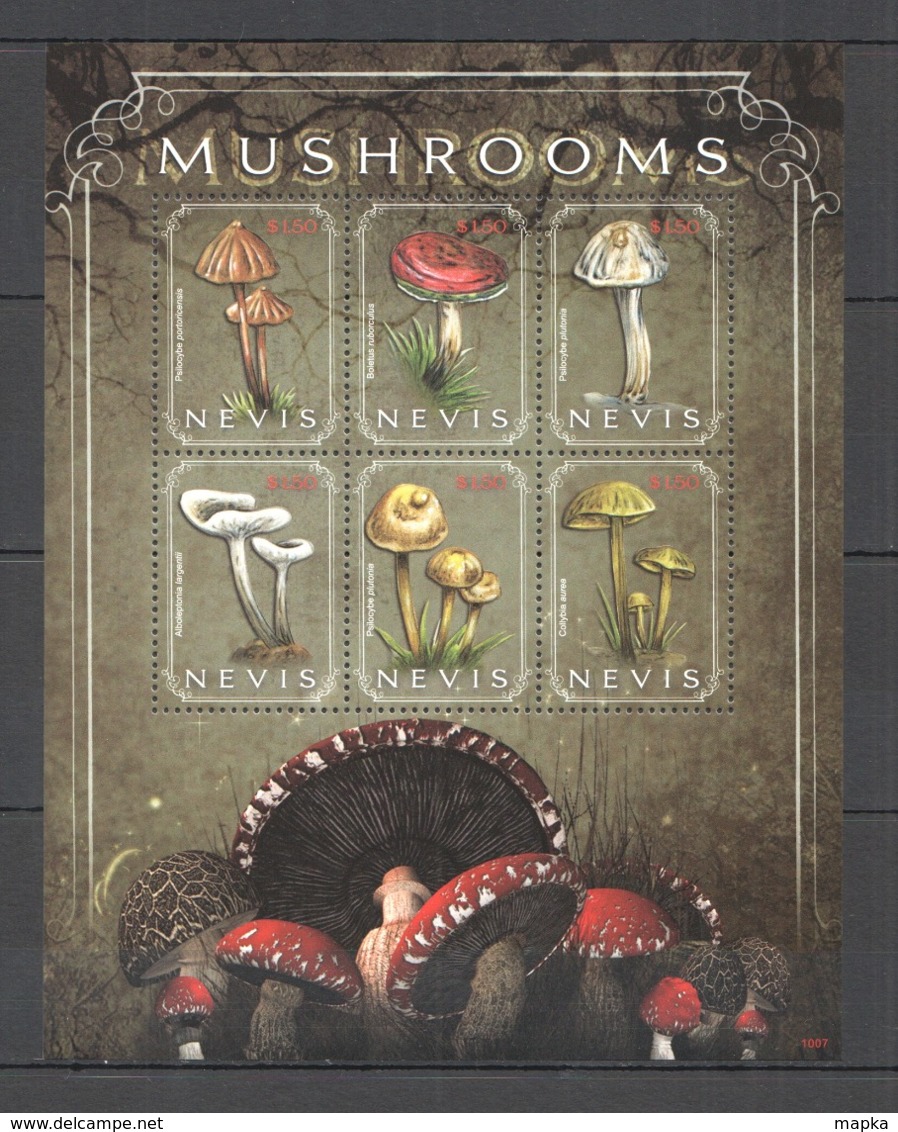 D638 2010 NEVIS MUSHROOMS FLORA NATURE KB MNH - Mushrooms