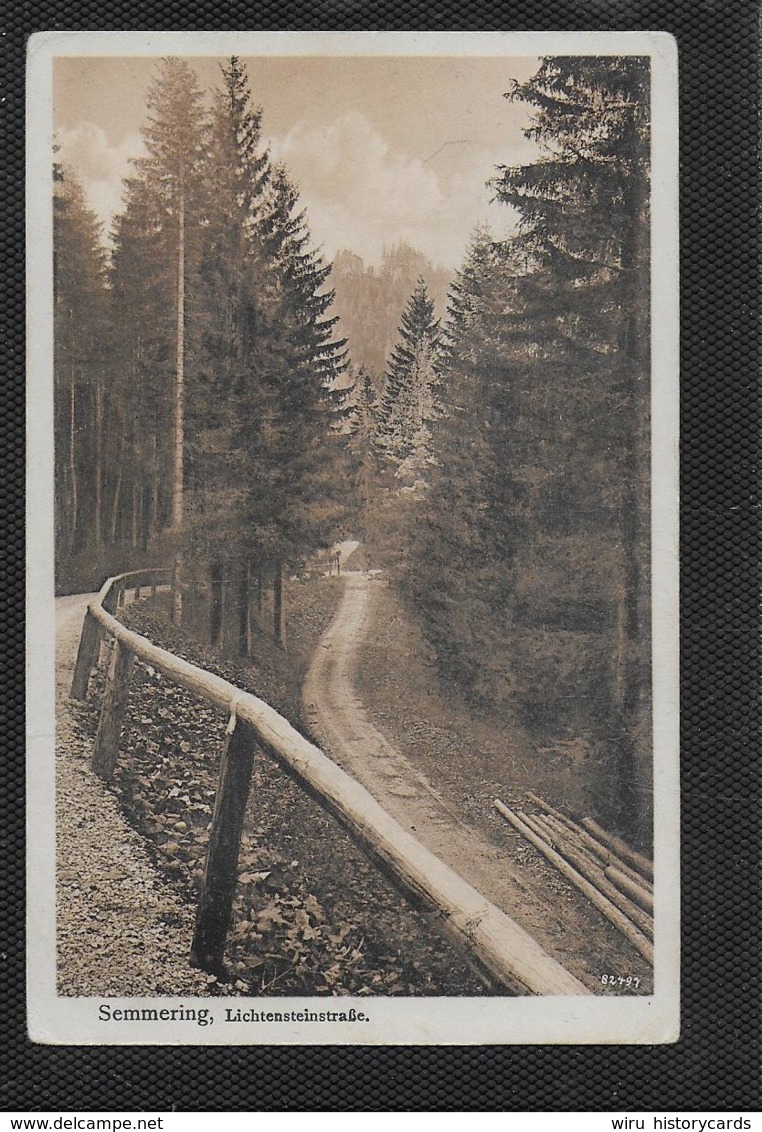 AK 0365  Semmering - Lichtensteinstrasse / Verlag Kleinhans Um 1920 - Semmering