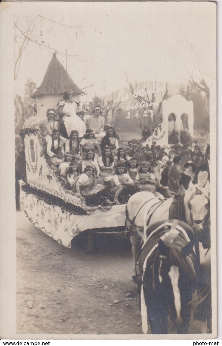 832... Carte Photo Ancienne - Les Abeilles Sisteron - 2 Avril 1923 - France - Autres & Non Classés