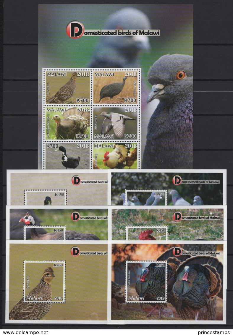 Malawi (2019) - Set + 6 Blocks -  /  Aves - Birds - Oiseaux - Vogel - Rooster - Farm - Dove - Ducks - - Farm