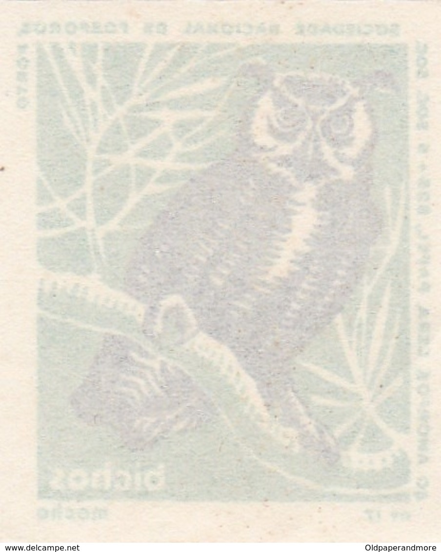 PORTUGAL MATCHBOX LABEL - VIGNETTE - CINDERELA - BIRDS - BIRD - OWL - - Zündholzschachteletiketten