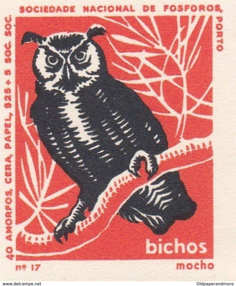 PORTUGAL MATCHBOX LABEL - VIGNETTE - CINDERELA - BIRDS - BIRD - OWL - - Zündholzschachteletiketten