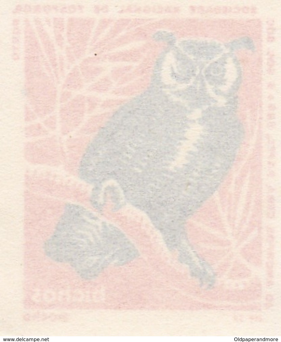 PORTUGAL MATCHBOX LABEL - VIGNETTE - CINDERELA - BIRDS - BIRD - OWL - - Zündholzschachteletiketten