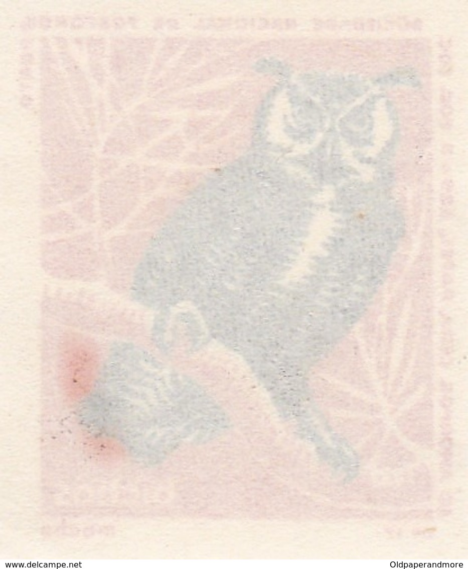 PORTUGAL MATCHBOX LABEL - VIGNETTE - CINDERELA - BIRDS - BIRD - OWL - - Zündholzschachteletiketten